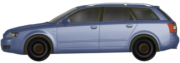 Audi A4 8E(B6) Avant (2001-2004) 1.6