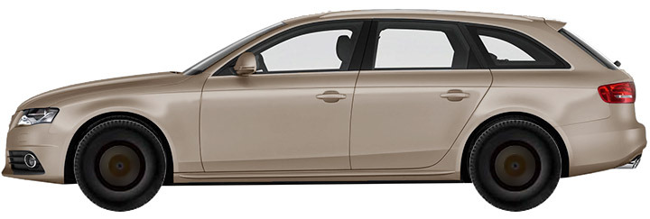 Audi A4 B8, B81 Avant (2008-2011) 2.0 TFSI Flexible Fuel