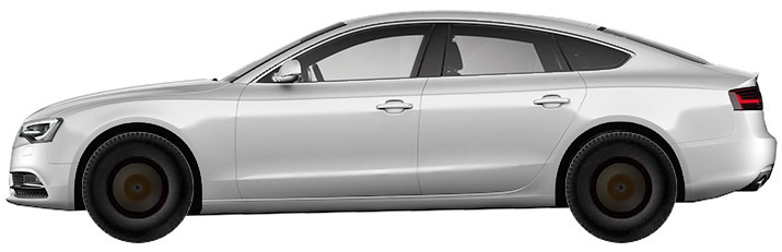 Audi A5 B8, B81 Sportback (2011-2016) 3.0 TFSI Quattro