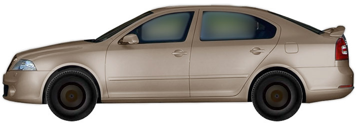 Skoda Octavia RS 1Z/A5 Sedan (2004-2010) 2.0 TDI
