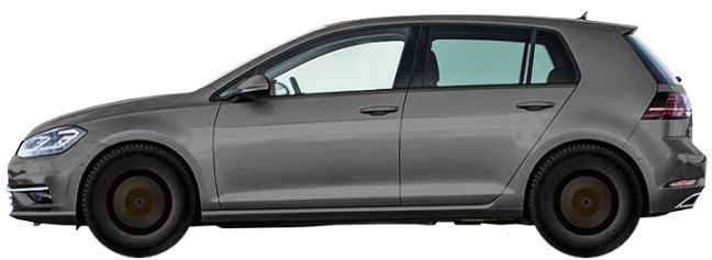 Volkswagen Golf VII AU Hatchback 5d (2018-2018) 1.4 TSI (125 hp)
